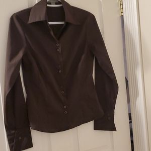 Brown Beechers Brook Stretch Collared Blouse